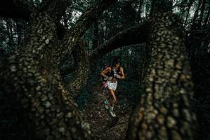 BIB: 
                            <button type="button" onclick="openModal(25690912)" class="btn btn-primary btn-sm float-right btn-popup" data-toggle="modal" data-target=".modal-high-quality">
                        <i class="fas fa-shopping-cart"></i> Add to Cart
                    </button>
                                            <button type="button" onclick="isThisMe(25690912, true)" class="btn btn-success btn-sm float-right btn-popup btn-isme hidden" data-toggle="tooltip" data-placement="bottom" title="นี่คือรูปของคุณใช่ไหม คลิกที่นี่เพื่อเอาเข้าอัลบั้ม">
                        <i class="fas fa-plus"></i> Add to album
                    </button>
                    <button type="button" onclick="isThisMe(25690912, false)" class="btn btn-warning btn-sm float-right btn-popup btn-isnotme hidden">
                        <i class="fas fa-ban"></i> Remove from album
                    </button>